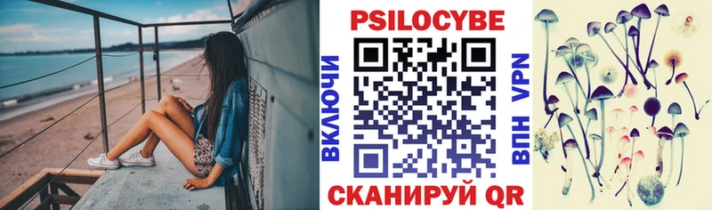 Галлюциногенные грибы прущие грибы  Великие Луки 